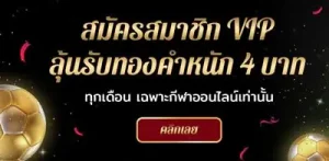 แทง บอล สดได้ เงิน